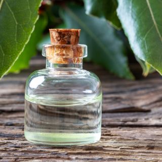 Ekstrakt z liścia lauru