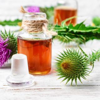 Ekstrakt z korzenia łopianu